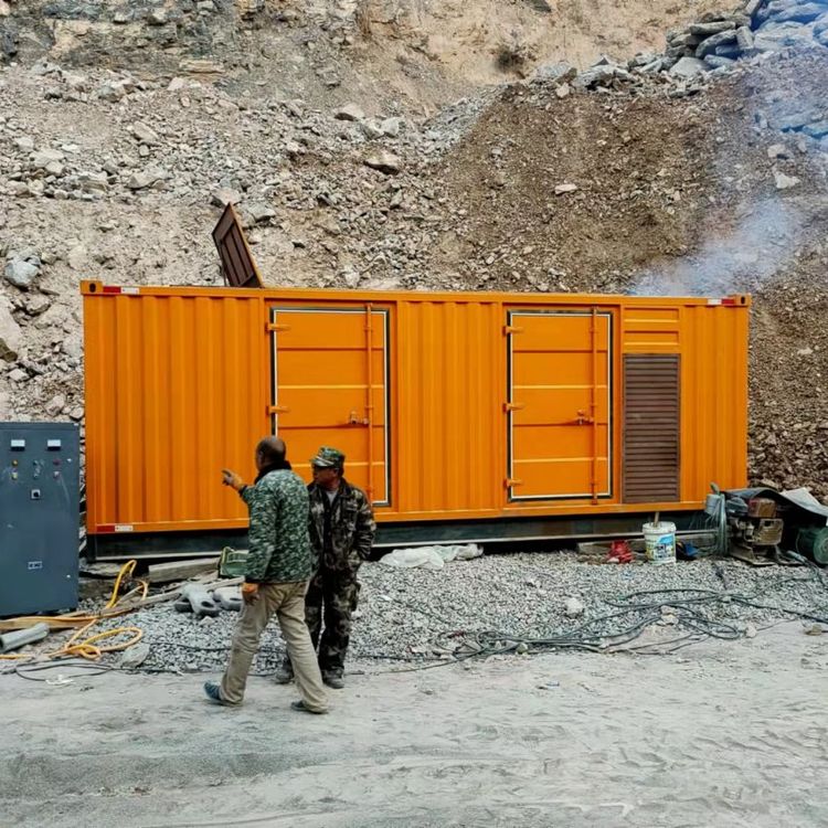 兴义如何降低 200kW 柴油发电机在高海拔地区的油耗？